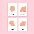 My head, my shoulders, my knees, my toes