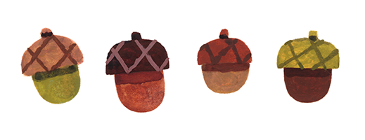 Row of acorns divider