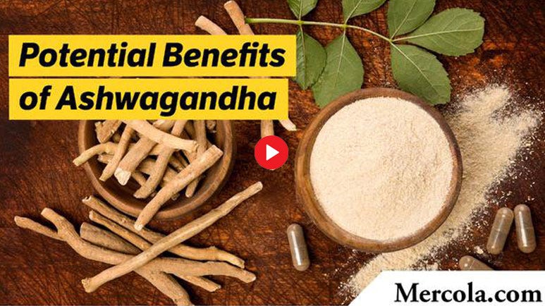 ashwagandha for stress and anxiety