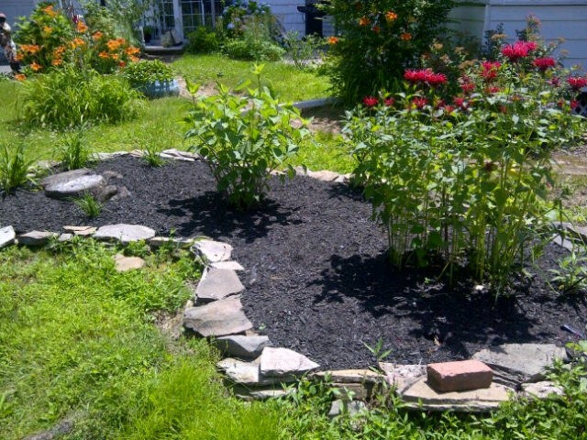 Garden covered with mulch