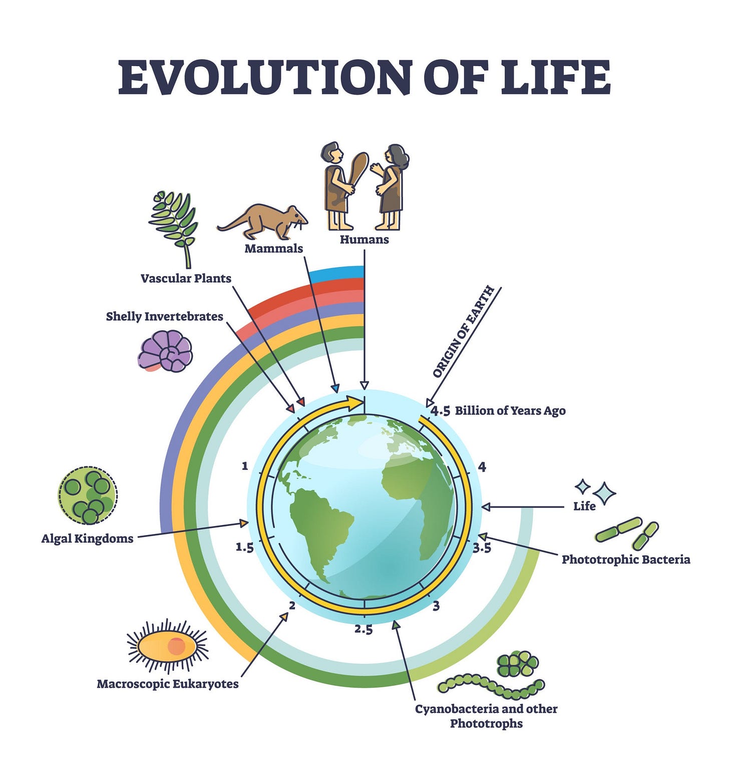 Image of State Evolution Diagram