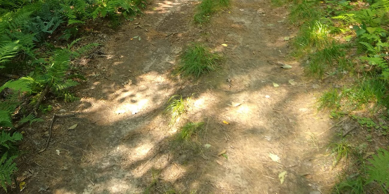 Up the Notch