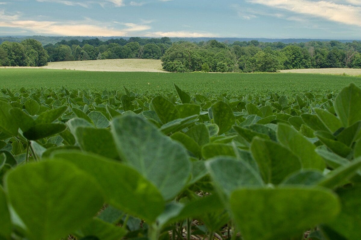 Integrated Pest Management and Ecosystems | Illinois Extension | UIUC