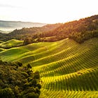 Why We’re Starting Calistoga Currents