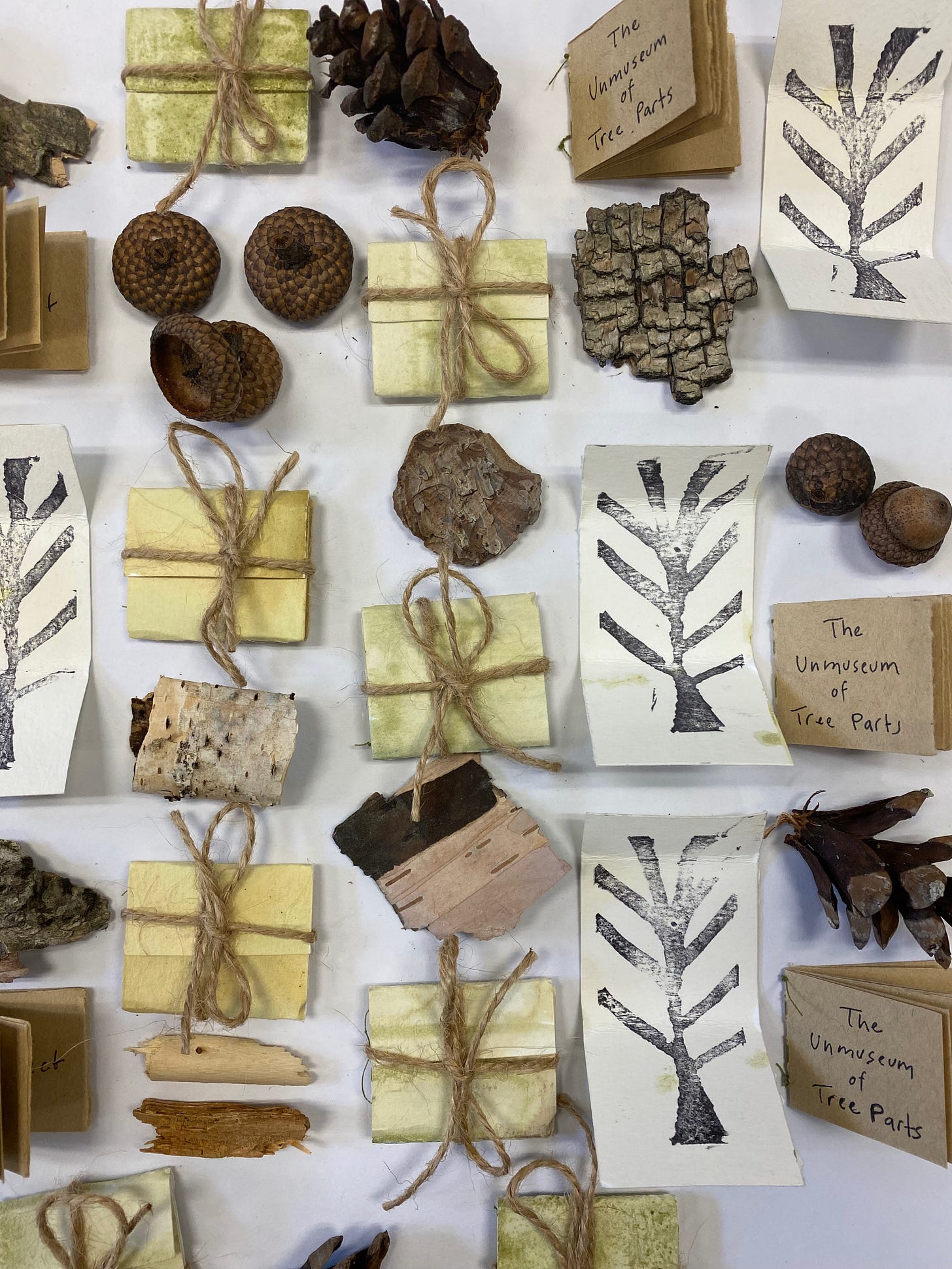 A collection of small pieces of birch park, pine cones, acorns, and other tree parts, arranged alongside tiny books titled ‘The Unmuseum of Tree Parts’, tiny envelopes tied up with twine, and small pieces of folded paper stamped with stylized trees.