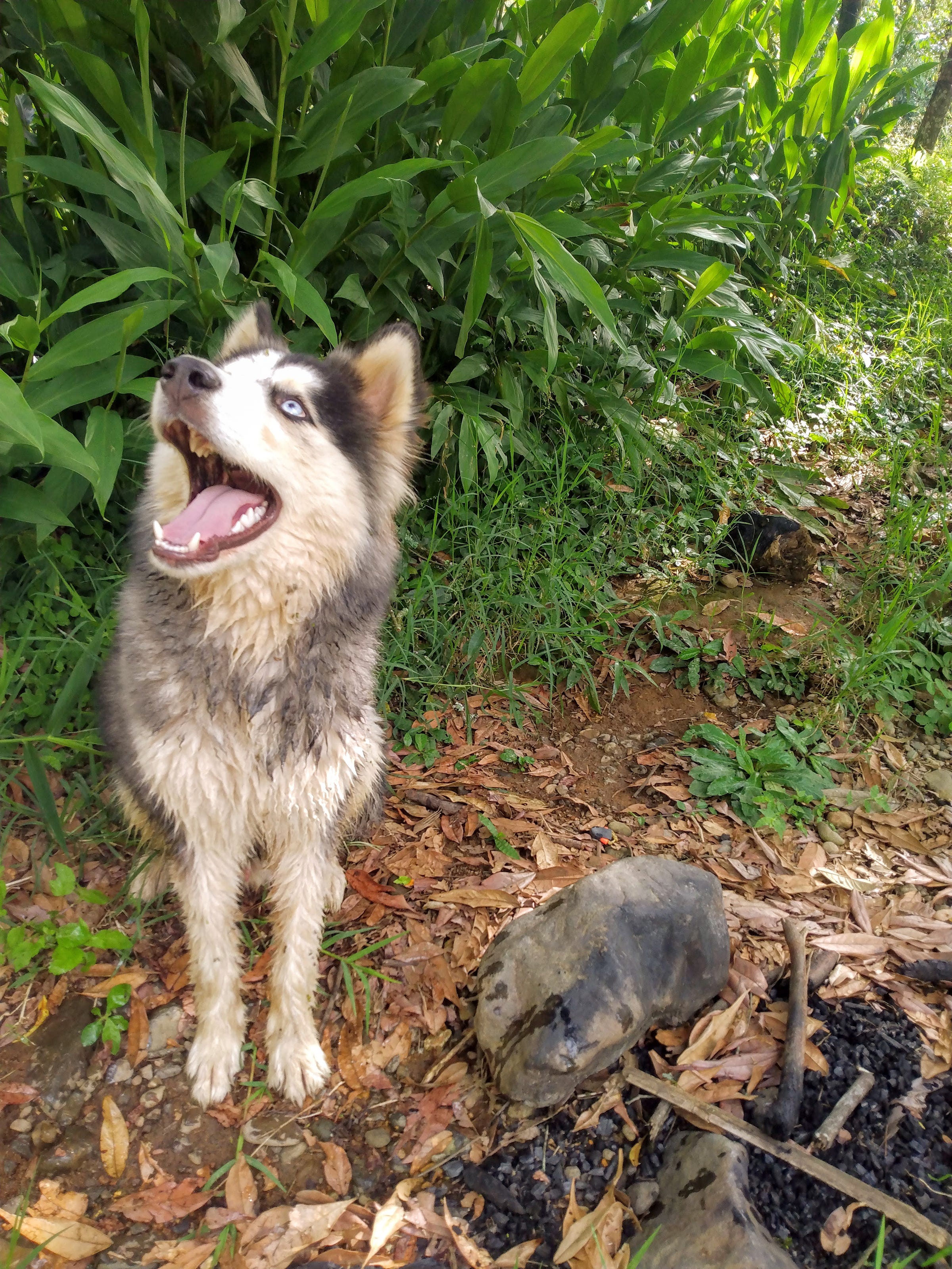 Jerico, colombia rivers