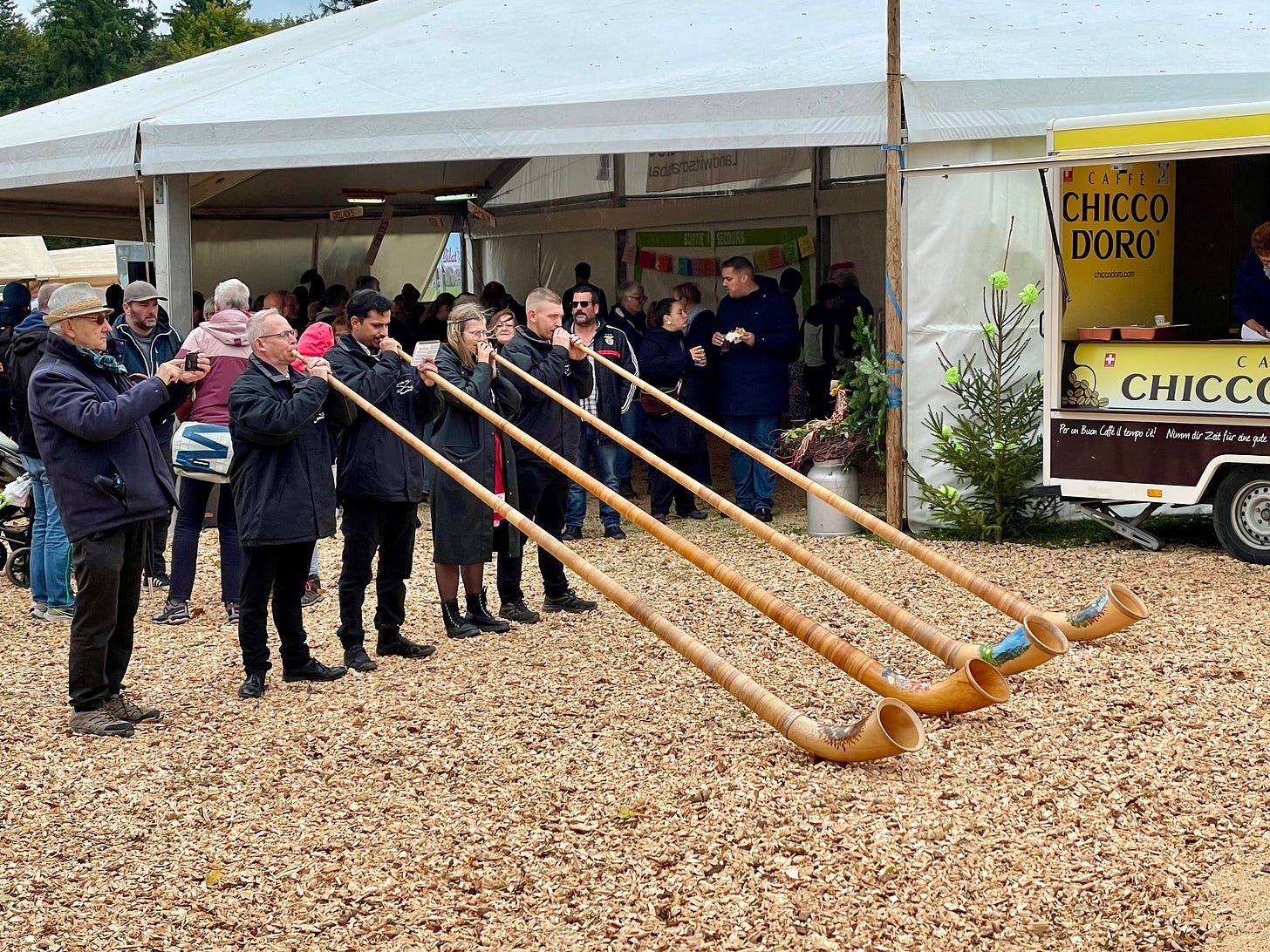 Four alphorn players