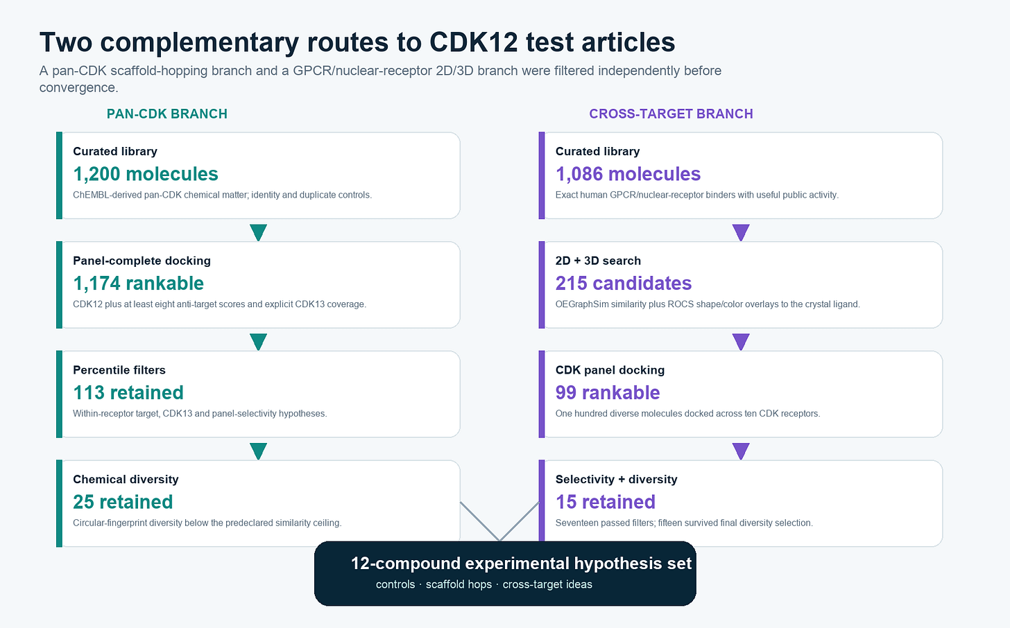 Two-branch CDK12 screening funnel Two-branch CDK12 screening funnel