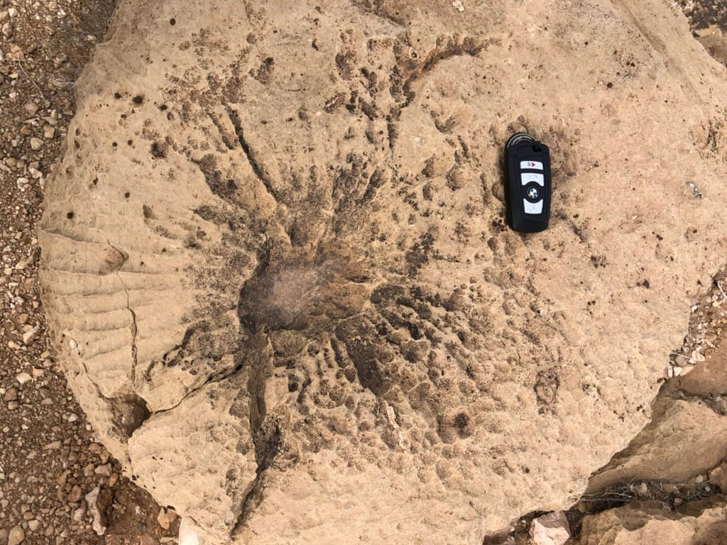 Unshattered Sands 21