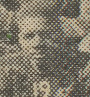 This image has an empty alt attribute; its file name is Boswell-1928-1.png