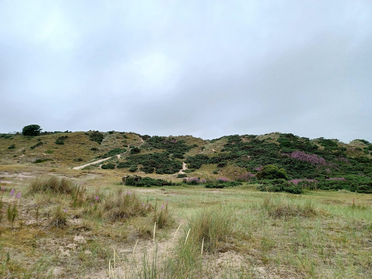 Living in Aberdeen Part 5