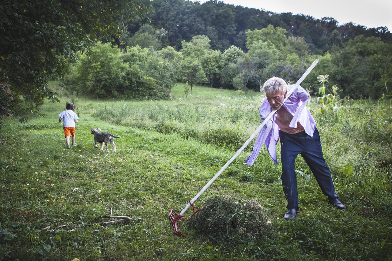 Szuhányi working in the fields while his son Stefan plays with a dog.