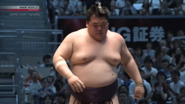Sumo Stomp! | Tim Edwards | Substack