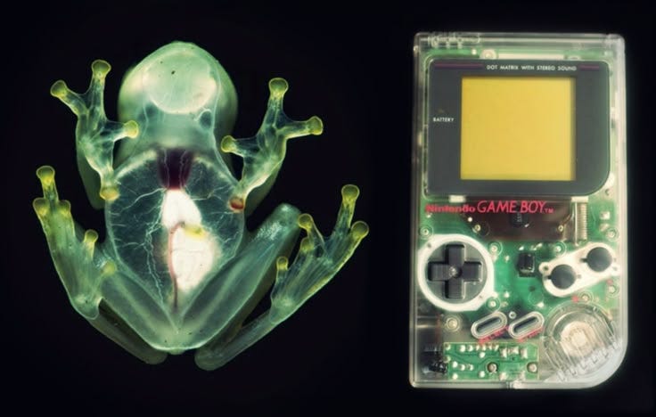 This may contain: a green frog sitting next to a game boy control board with the same design on it's face