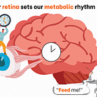Why obesity isn't about food