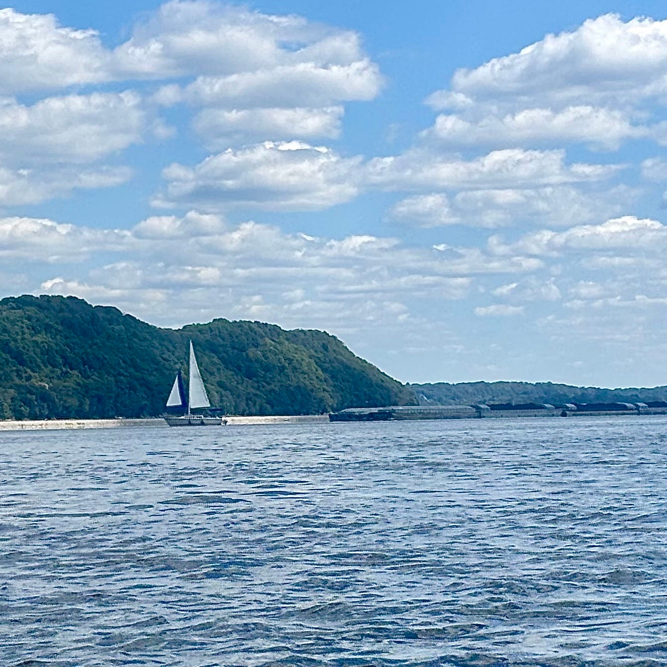 We terrorized this poor sailor trying to figure out what he was up to