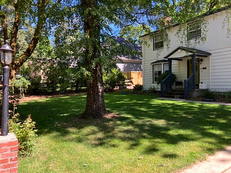 Trees: Birch, Maple, Elm, Oak, Japanese Maple, Dogwood Fruits and Vegetables: Blueberries, Strawberries, Tomatoes, Pumpkins, Peppers Plants: Rhododendron, Peony, Rosemary, Roses, Lilacs, Hosta, Hydrangea, Wisteria, Daylilies, Daffodils Flowers: Sunflowers