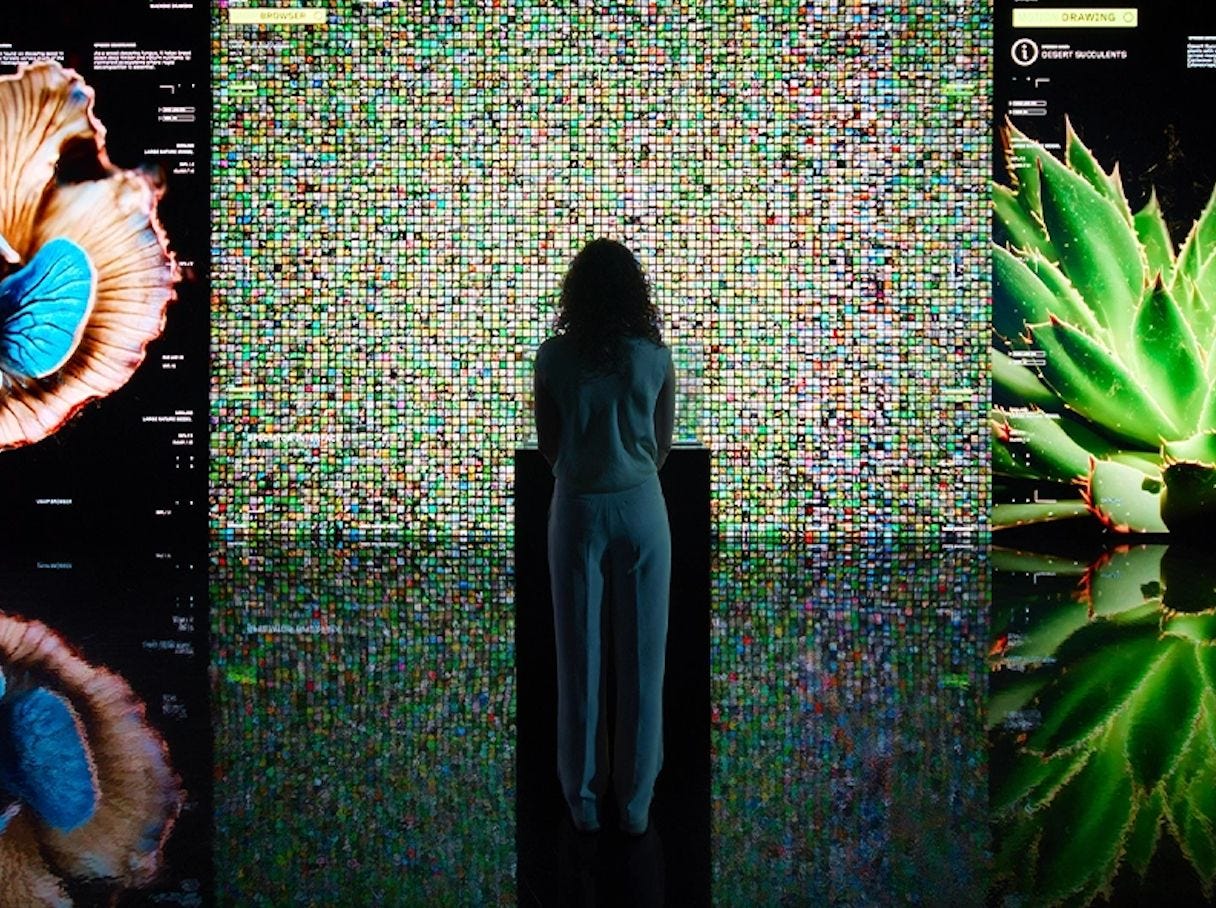 Dataland