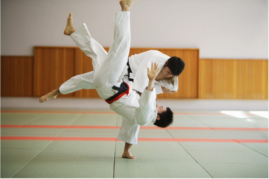 Use Aikido On Your Kids