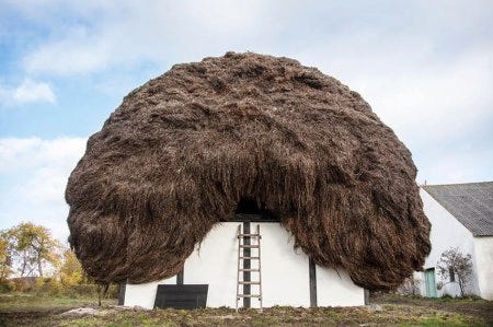 Exemple de toit en zostère Exemple de toit en zostère