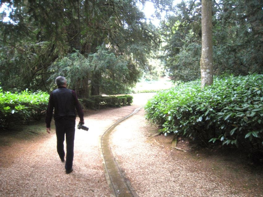 Rousham copyright Anne Wareham Rousham copyright Anne Wareham