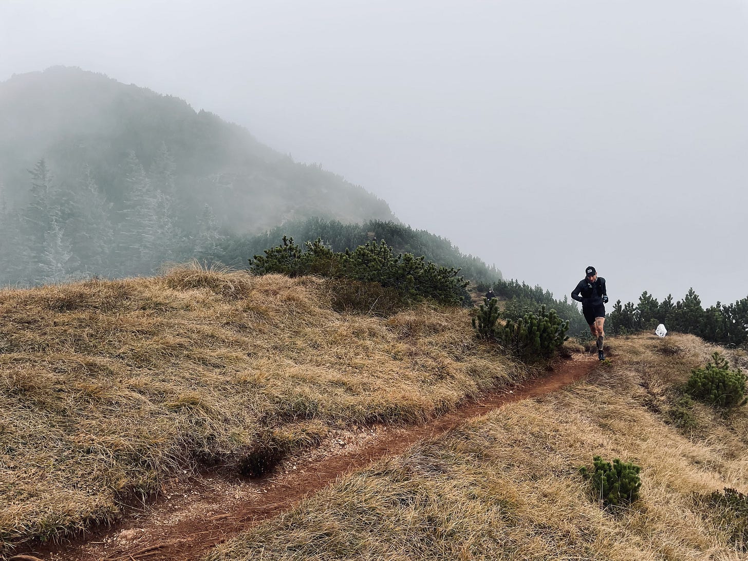 Path As A Roda The Difference Between a Road and a Path - by Chris Z