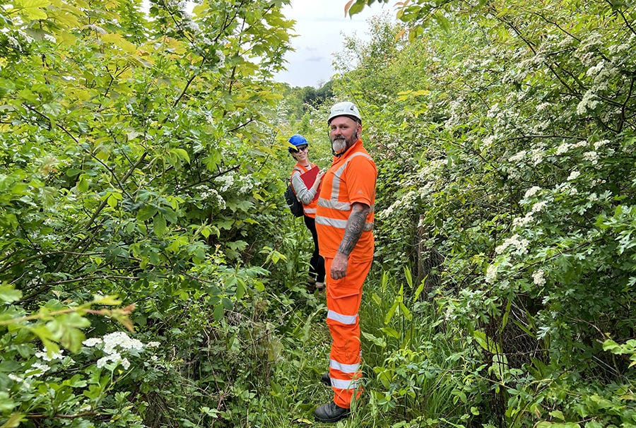 Trialling the reintroduction of “railway hedges” five years on