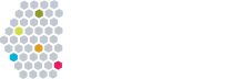 CA Local News Fellowship