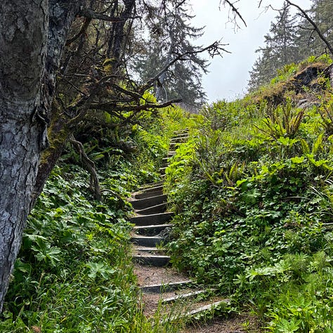three views of Northern California coastline with rocky ocean shoreline, whitecaps on dark blue water and lush green foliage