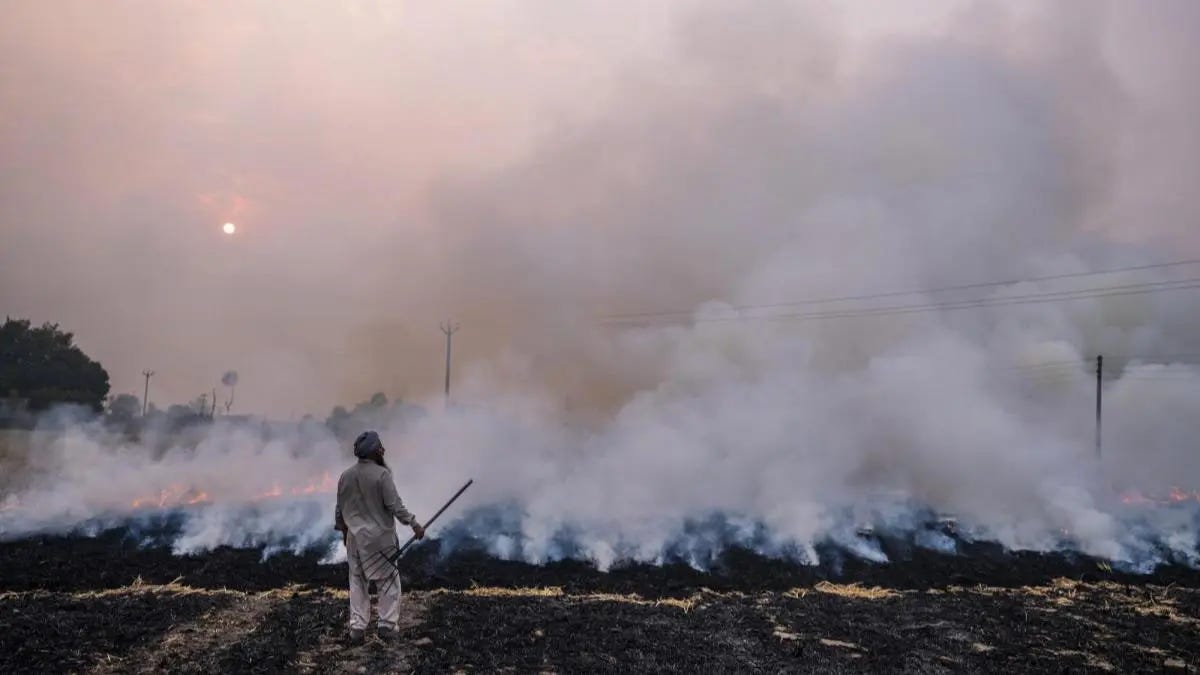 Explainer | Why do farmers burn their crops while Delhi gets smoked out? - India News | The Financial Express Explainer | Why do farmers burn their crops while Delhi gets smoked out? - India News | The Financial Express