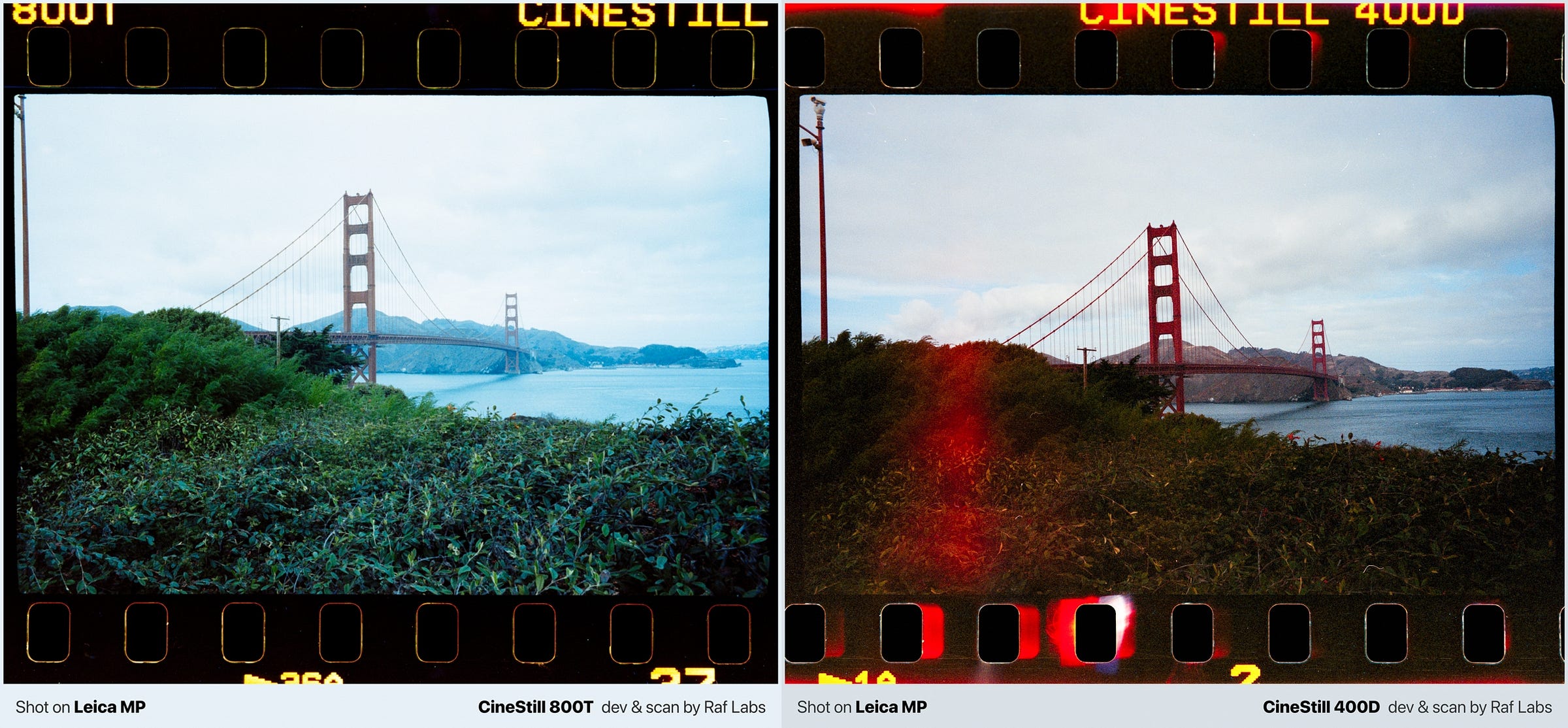 film comparison