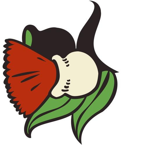 City of Sydney for Palestine