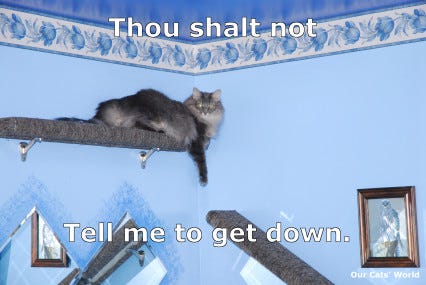 Kali Blue Shelf Down (lol) Kali Blue Shelf Down (lol)