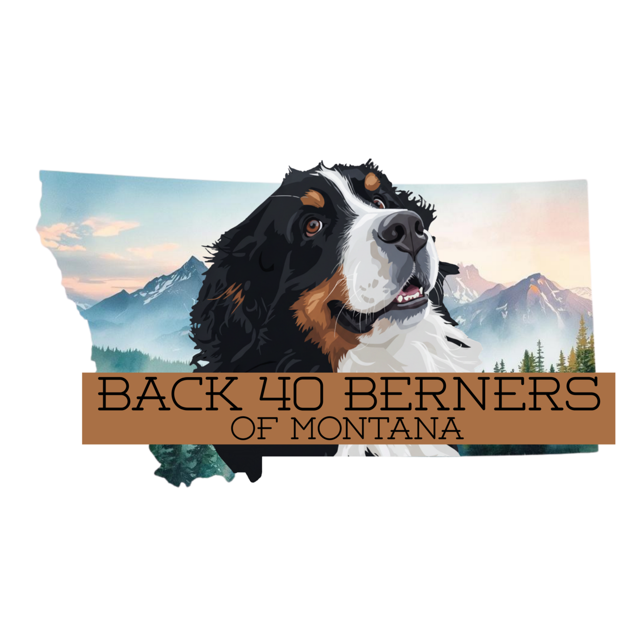 Back 40 Berners of Montana