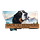 Back 40 Berners of Montana
