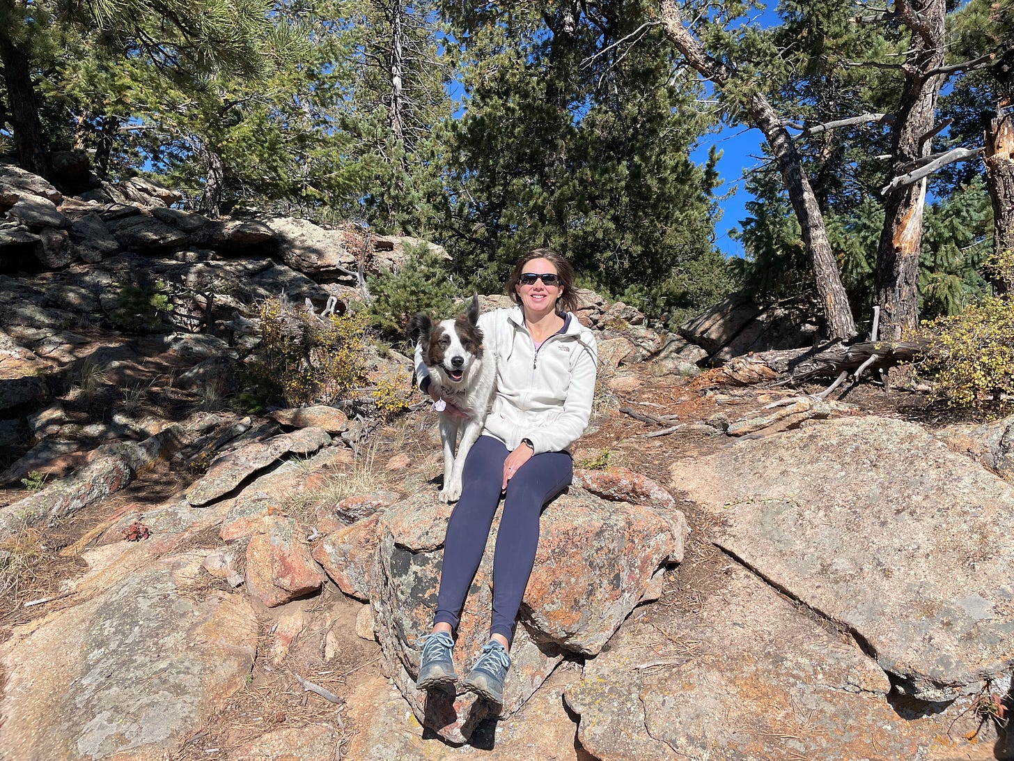 a woman and a dog sitting together on boulders in front of pine trees a woman and a dog sitting together on boulders in front of pine trees