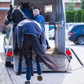 Testing after travelling could lead to a false diagnosis of EMS