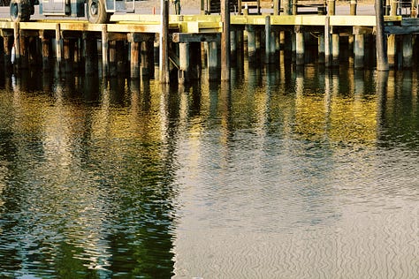 The Watercolors: subversion project