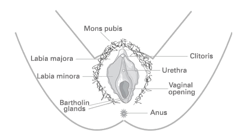 A diagram of a human body

AI-generated content may be incorrect.
