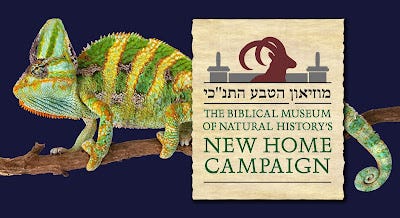 https://www.causematch.com/en/projects/newmuseumhome/ https://www.causematch.com/en/projects/newmuseumhome/