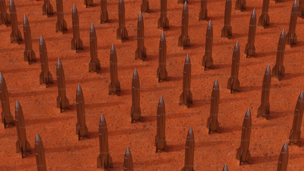 a large group of trees that are in the dirt