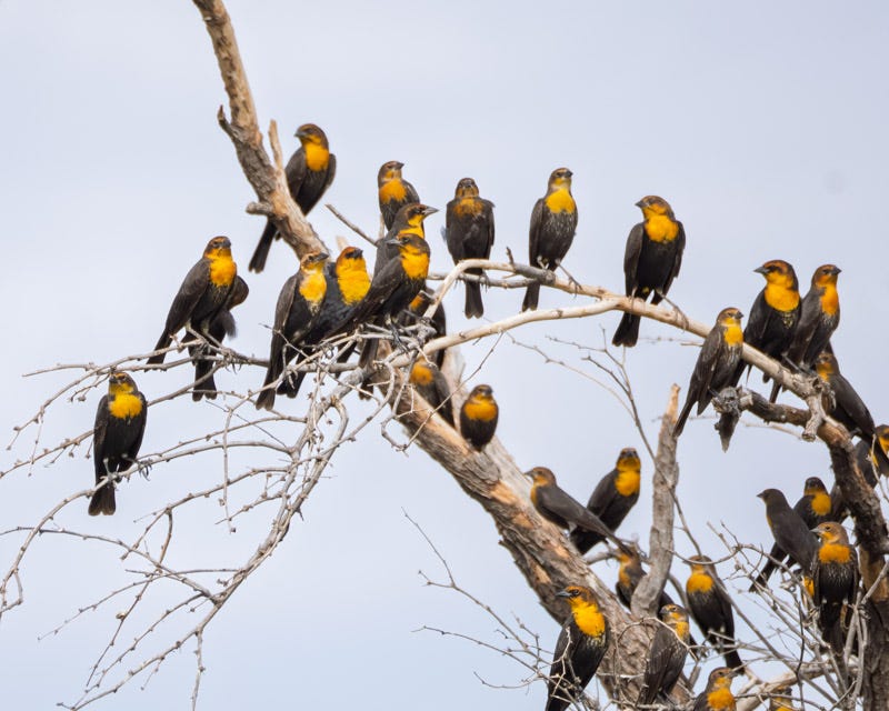 20250906-Manville-262-Edit.jpg 20250906-Manville-262-Edit.jpg