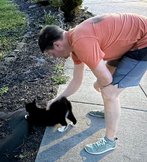 Images depicting the author reading at an open mic, a vase of dried lavender bathed in light from the setting sun, and the author's husband petting a black cat on one of their walks.