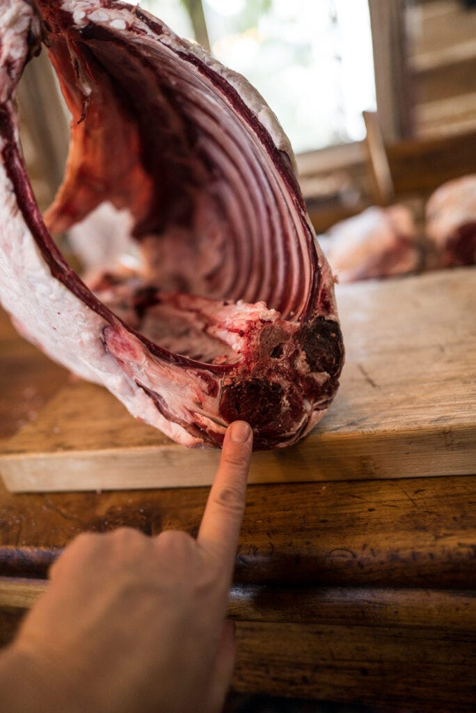 Lamb Meat: Cutting, Wrapping, and How To Cook It | The Elliott Homestead (.com)