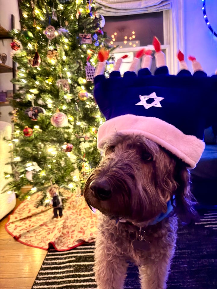 Ringo in a Menorah hat, Ringo and Stevie celebrating his birthday