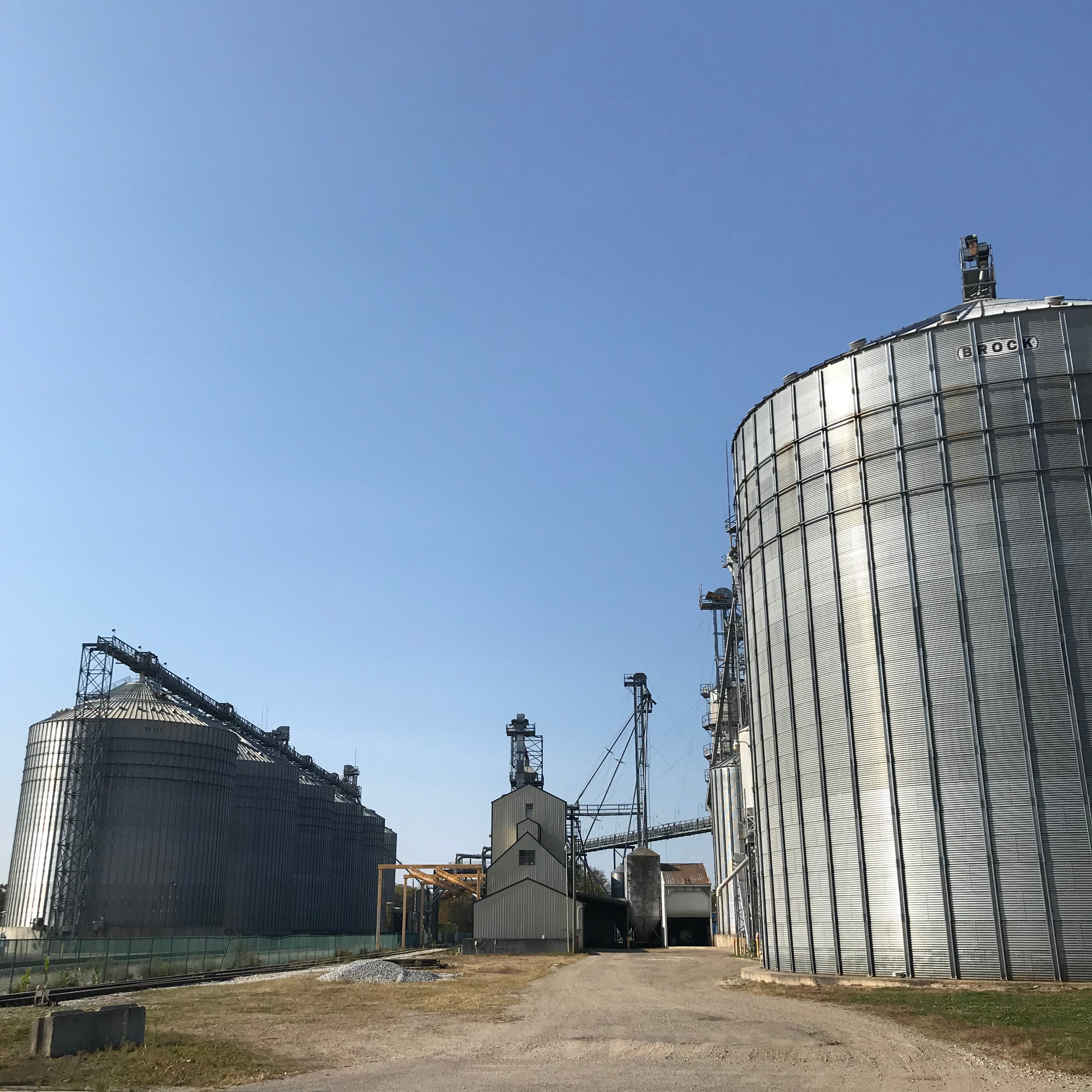 Learn the Names of Fingers in Spanish, image size:3024x3024