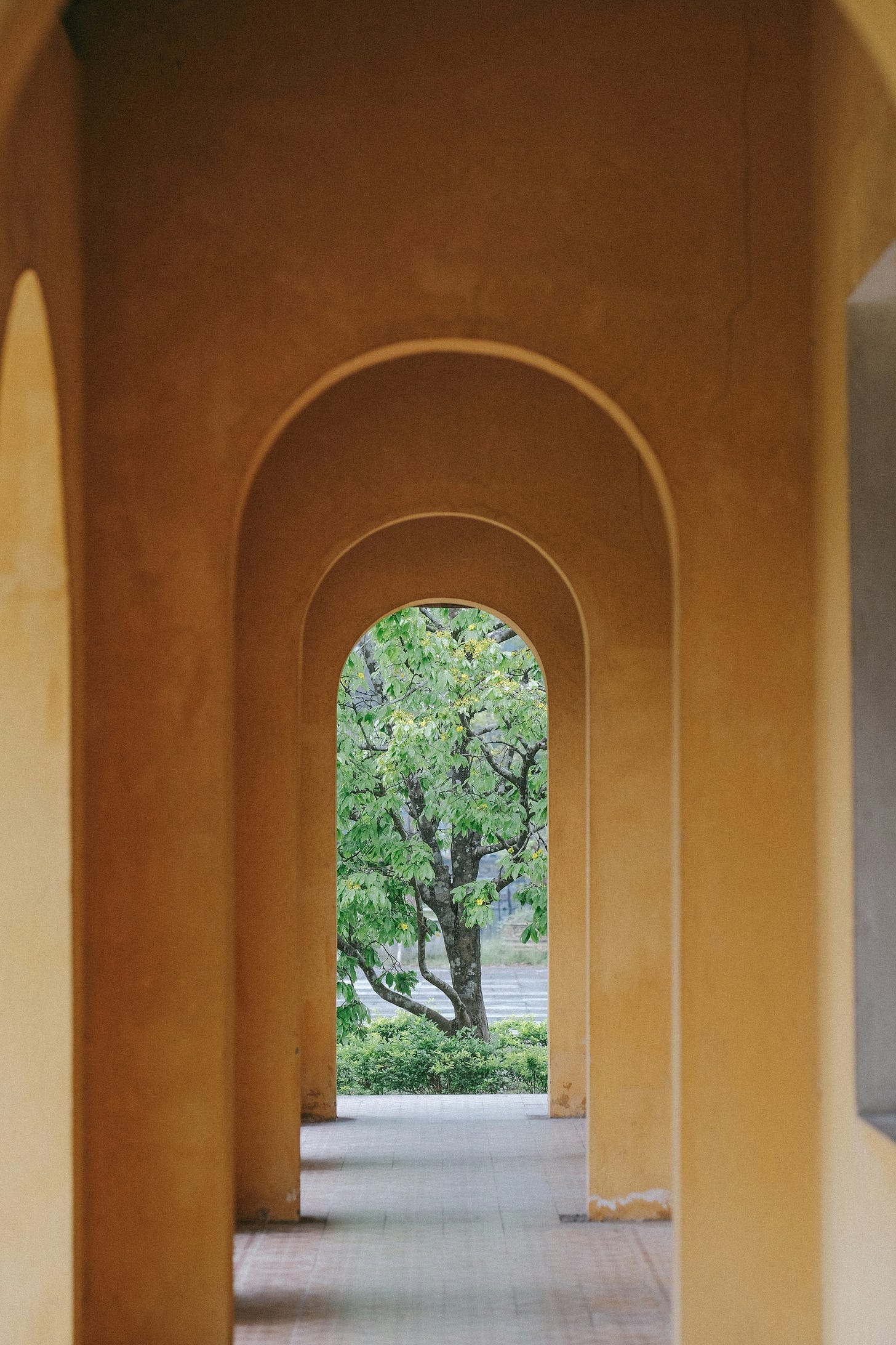 A series of arched corridors framing a path that leads toward a green tree in the distance, suggesting discovery at the end of a structured walkway. A series of arched corridors framing a path that leads toward a green tree in the distance, suggesting discovery at the end of a structured walkway.