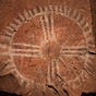 Savor the Southwest's avatar