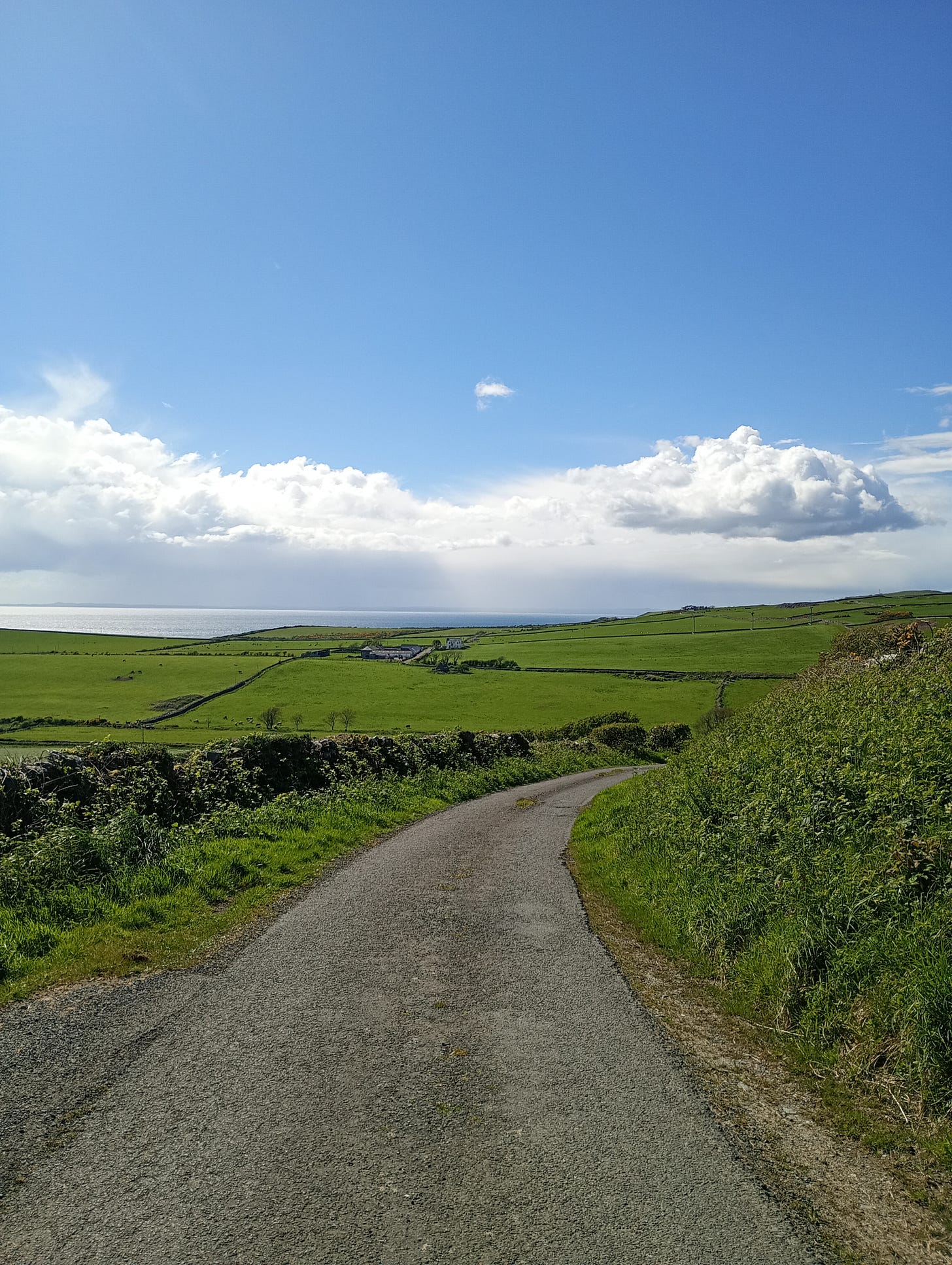 Galloway, Scotland, lighthouse, gorse, fields