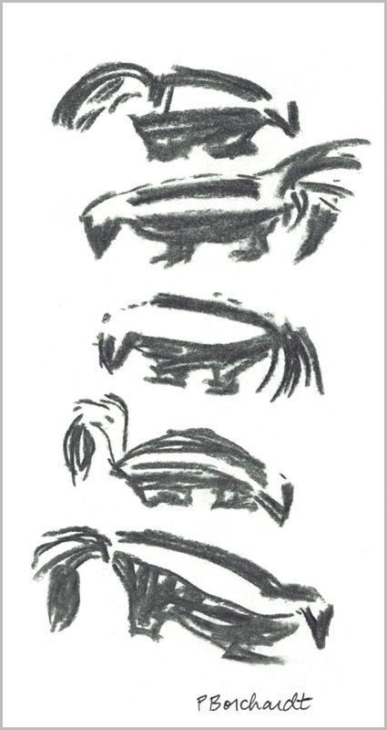 Primrose the Striped Skunk, page 2 (charcoal)
